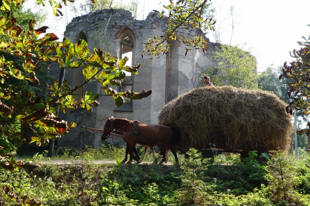 Horse drawn cart and the ruins of Zalozce's Roman Catholic Church of St. Antoni  (kościół sw. Antoniego). Click to enlarge.